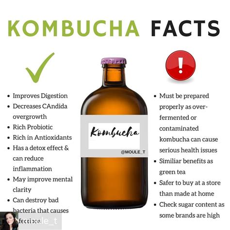 kombucha cleanse benefits